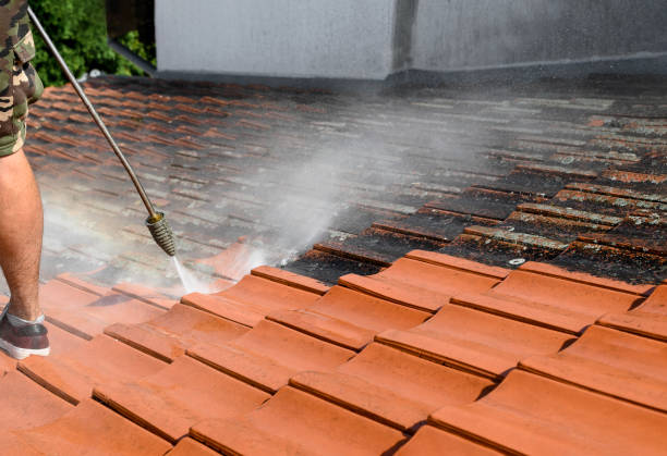 Best Affordable Power Washing  in Sheldon, IA
