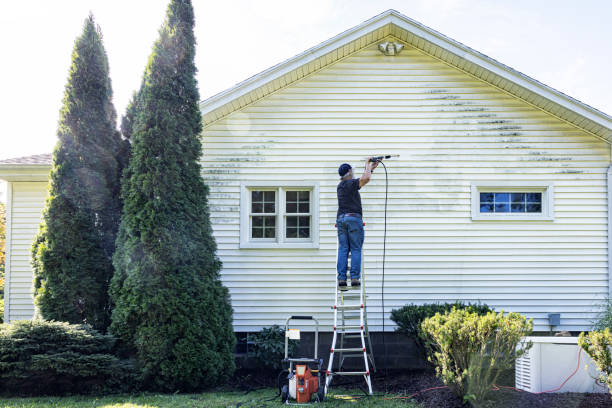 Best Roof Pressure Washing  in Sheldon, IA