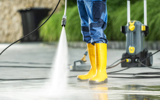 Best House Pressure Washing  in Sheldon, IA