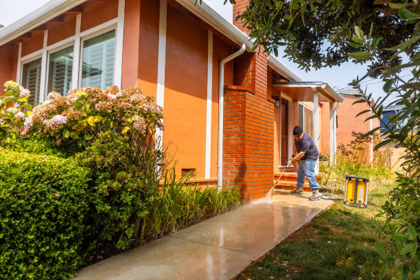 Best Local Pressure Washing Services  in Sheldon, IA